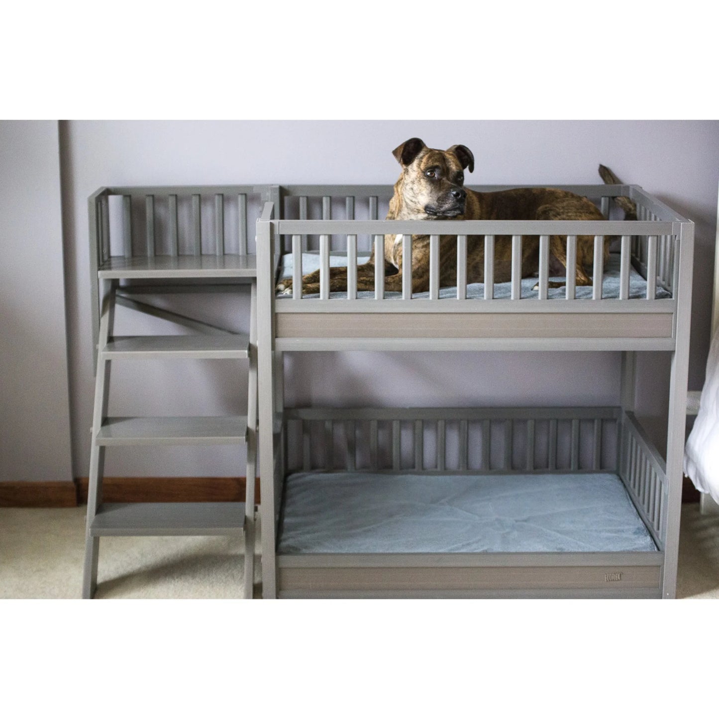 ® ECOFLEX® Dog Bunk Bed with Removable Memory Foam Cushions, Easy Assembly, Wide Stairs for Safe Climbing, Durable Composite, Ideal for Multiple Pets, Accommodates 2 Large or 3+ Small Dogs