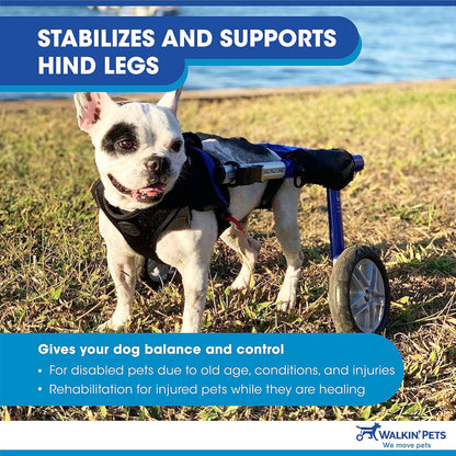 Dog Wheelchair - for Medium Dogs 26-49 Lbs - Veterinarian Approved - Dog Wheelchair for Back Legs