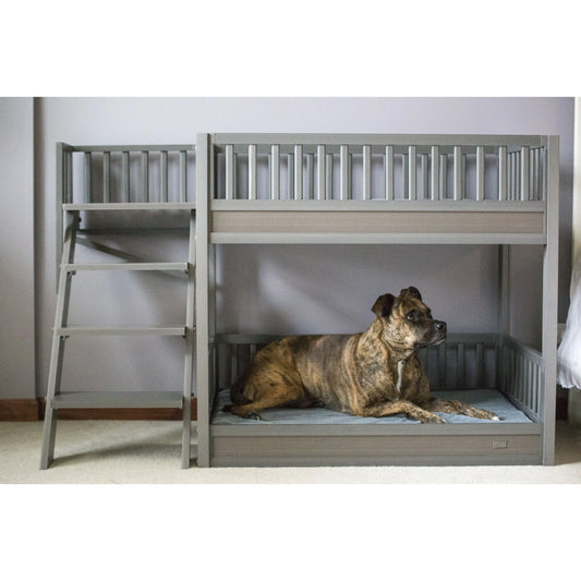 ® ECOFLEX® Dog Bunk Bed with Removable Memory Foam Cushions, Easy Assembly, Wide Stairs for Safe Climbing, Durable Composite, Ideal for Multiple Pets, Accommodates 2 Large or 3+ Small Dogs